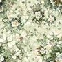 Vintage Rose Flower Wallpaper Mural