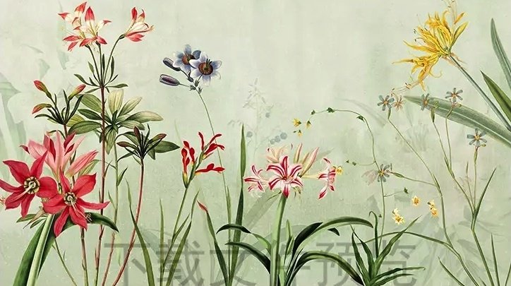 Papier peint panoramique de plantes et de fleurs colorées