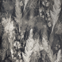 Dark Feather Monochrome Wallpaper Mural