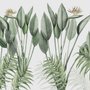 Vintage Palm Leaf and Colorful Birds Wallpaper Mural