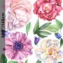 Aquarell Rosa Pfingstrose Tulpe Gänseblümchen Blumenstrauß Wandtattoo