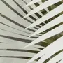 Neutral Tropical Palm Leaf Wallpaper Mural