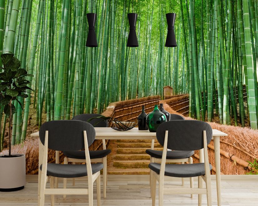 Bamboo Forest Oasis Wallpaper Mural