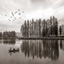 Monochrome Dark Forest and Lake Wallpaper Mural
