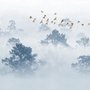 Nebeliger Wald mit Vögeln Fototapete