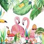 Fototapete mit Flamingos und Tukan