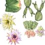 Watercolor Pink Yellow Cactus Florals Wall Decal Sticker